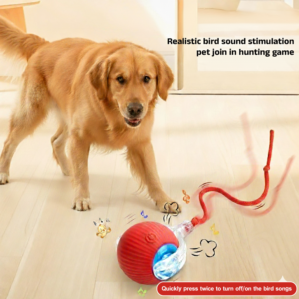 Smart Interactive Pet Toy