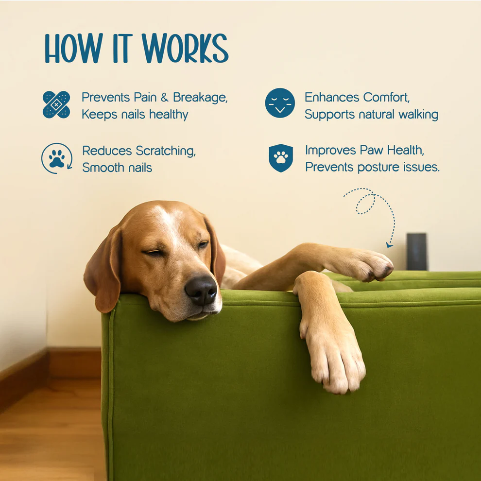 Upgraded Electric Dog Nail Trimmer