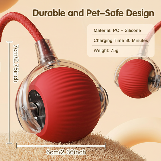 Smart Interactive Pet Toy