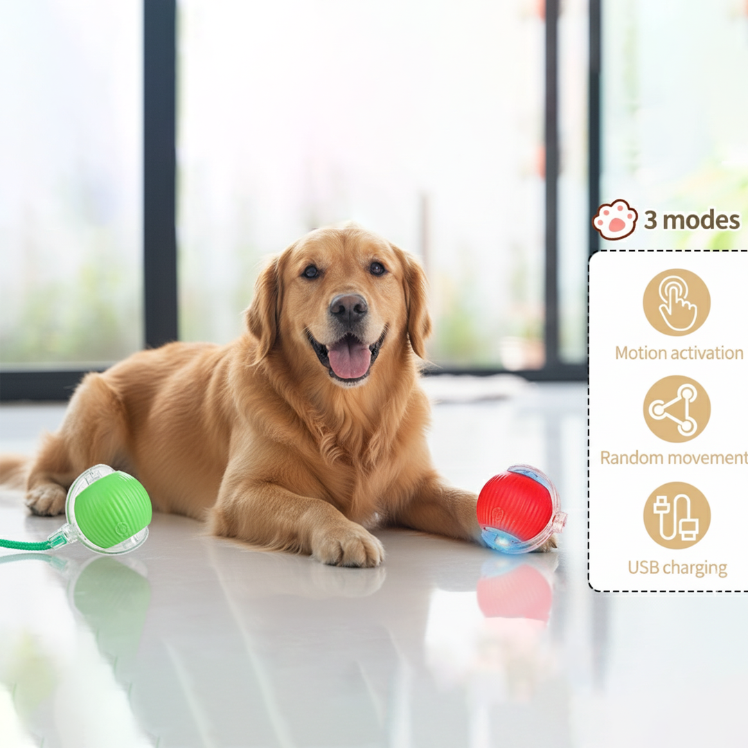 Smart Interactive Pet Toy